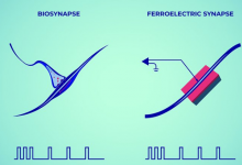 物理學(xué)家創(chuàng)造了一種模仿人類突觸來忘記記憶的裝置