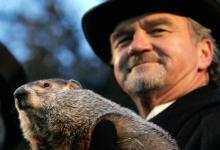 PETA希望用動畫AI取代Punxsutawney Phil