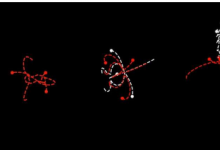 科學(xué)家發(fā)現(xiàn)時(shí)間對稱性和物理定律