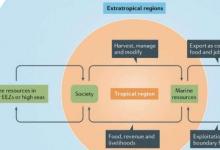氣候變化對(duì)熱帶漁業(yè)的影響將在世界范圍內(nèi)產(chǎn)生連鎖反應(yīng)