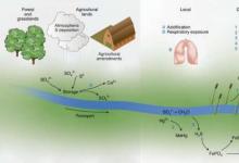 農(nóng)業(yè)取代了化石燃料 成為人類最大的環(huán)境硫源