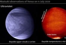 派克太陽探測器和與地球相連的觀察者罕見地瞥見了金星