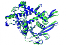 人工智能在解決蛋白質(zhì)結(jié)構(gòu)方面取得了勝利