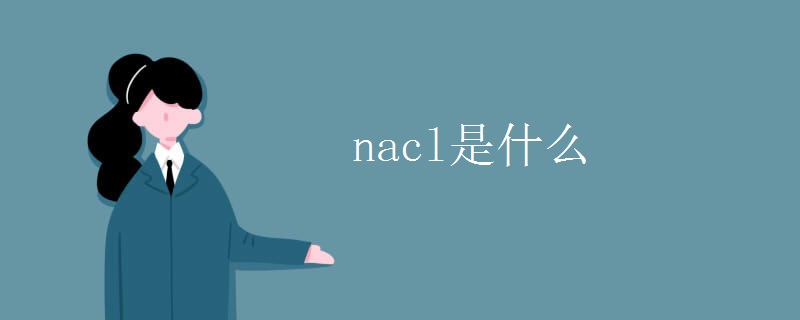 nacl是什么