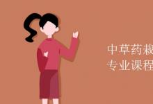 教育資訊：中草藥栽培與鑒定專業(yè)課程有哪些