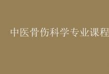 教育資訊：中醫(yī)骨傷科學(xué)專業(yè)課程有哪些