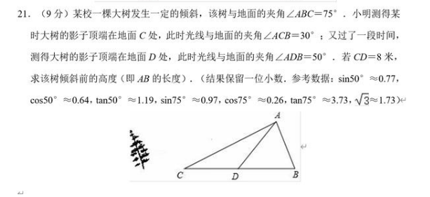 試題11