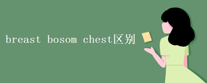 breast bosom chest區(qū)別