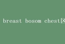 教育資訊：breast bosom chest區(qū)別