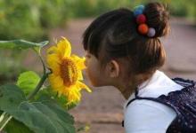 如何在幼兒園繪本教學的價值與實施策略