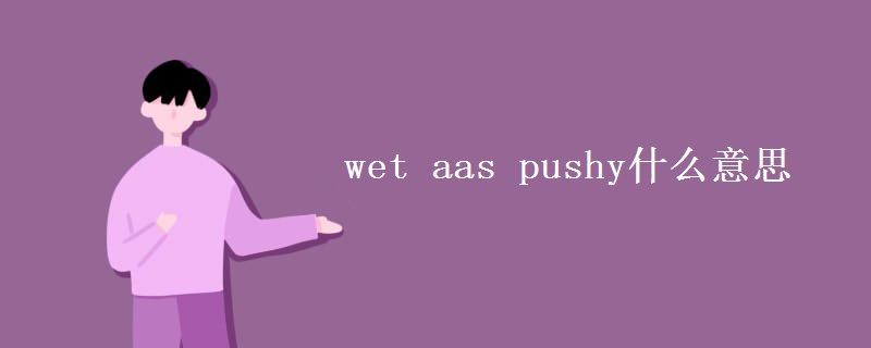 wet aas pushy什么意思