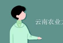 教育資訊：云南農(nóng)業(yè)大學(xué)是幾本