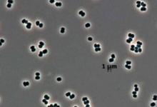 行星保護(hù)太空法旨在防止其他行星受到污染