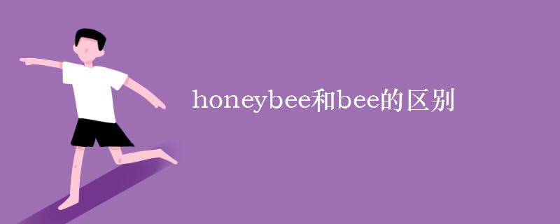 honeybee和bee的區(qū)別