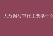 教育資訊：大數(shù)據(jù)與審計主要學什么課程