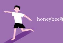 教育資訊：honeybee和bee的區(qū)別