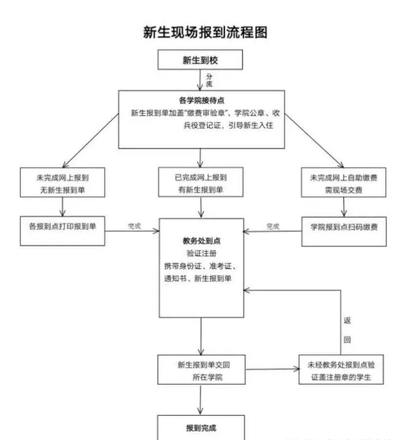 報到流程.jpg