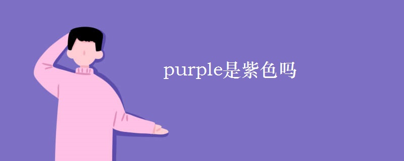 purple是紫色嗎