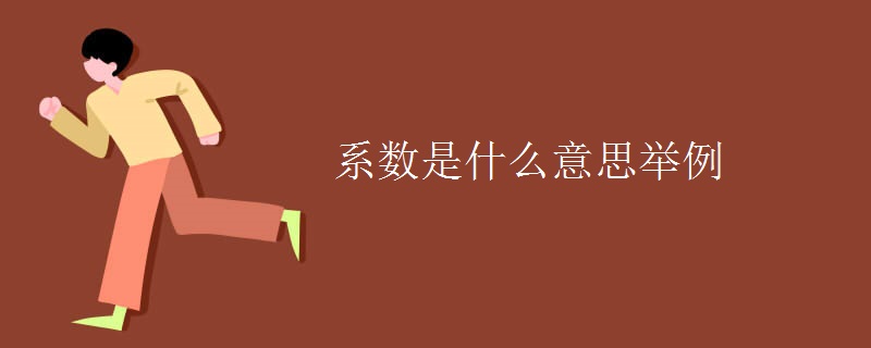 系數(shù)是什么意思舉例