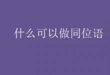 教育資訊：什么可以做同位語