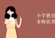 教育資訊：小學教育師范類和非師范類區(qū)別