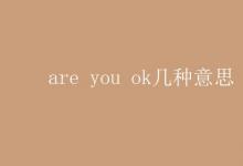 教育資訊：are you ok幾種意思