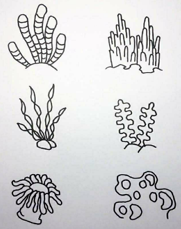 海底世界素材簡(jiǎn)筆畫5