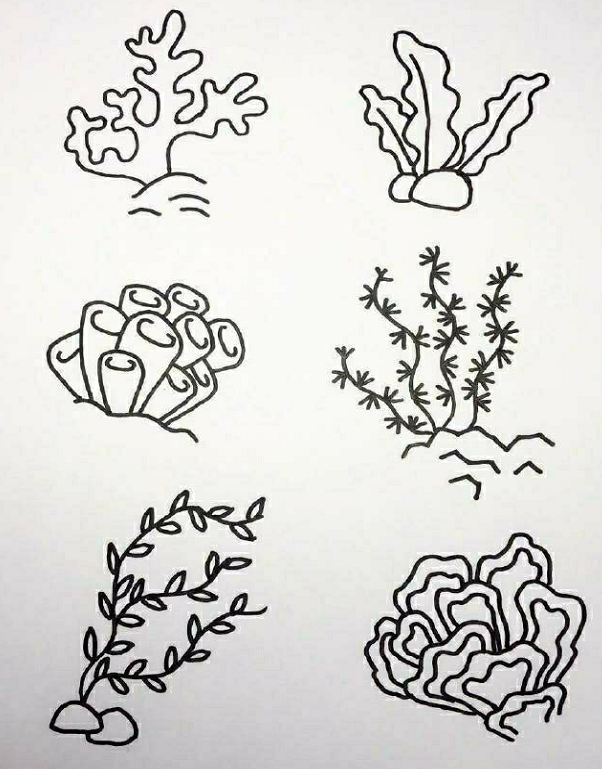 海底世界素材簡(jiǎn)筆畫6