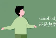 教育資訊：somebody是單數(shù)還是復數(shù)