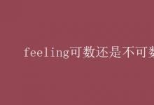 教育資訊：feeling可數還是不可數