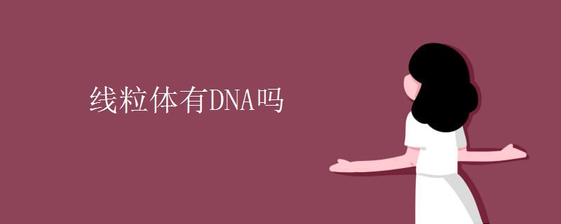 線粒體有DNA嗎