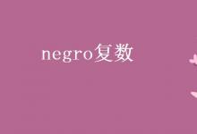 教育資訊：negro復(fù)數(shù)