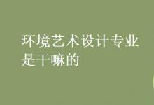 教育資訊：環(huán)境藝術(shù)設(shè)計專業(yè)是干嘛的