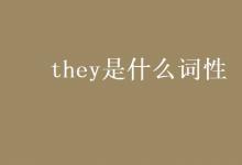 教育資訊：they是什么詞性