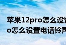 蘋果12pro怎么設置電話鈴聲（iPhone13pro怎么設置電話鈴聲）