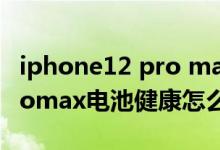 iphone12 pro max健康電池（iPhone13promax電池健康怎么查）