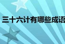 三十六計(jì)有哪些成語(yǔ)故事（三十六計(jì)有哪些）