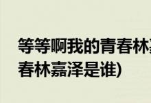 等等啊我的青春林嘉澤扮演者(等等啊我的青春林嘉澤是誰)