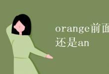 教育資訊：orange前面用a還是an