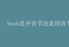 教育資訊：bush是開音節(jié)還是閉音節(jié)