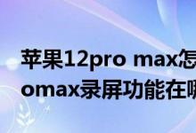 蘋果12pro max怎么錄屏錄聲音（蘋果13promax錄屏功能在哪里）