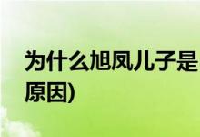 為什么旭鳳兒子是白鷺(旭鳳的兒子是白鷺的原因)