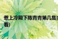 惹上冷殿下陳青青第幾集變漂亮(惹上冷殿下陳青青哪集變好看)