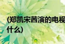 (鄭凱宋茜演的電視劇 鄭凱宋茜演的電視劇是什么)