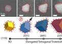 水稻化學家發(fā)現四面體形納米粒子受控生長的機制