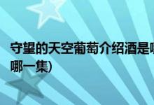 守望的天空葡萄介紹酒是哪一集(守望的天空中葡萄介紹酒是哪一集)