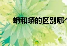 蚺和蟒的區(qū)別哪個大（蚺和蟒的區(qū)別）