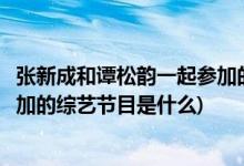 張新成和譚松韻一起參加的綜藝節(jié)目(張新成和譚松韻一起參加的綜藝節(jié)目是什么)