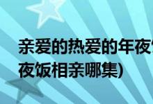 親愛的熱愛的年夜飯第幾集(親愛的熱愛的年夜飯相親哪集)