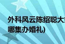 外科風(fēng)云陳紹聰大婚哪一集(外科風(fēng)云陳紹聰哪集辦婚禮)